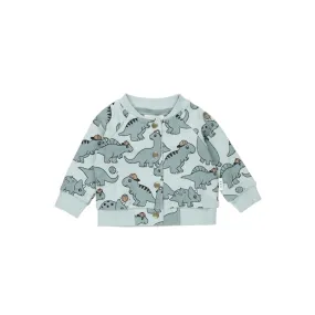 Huxbaby B-Ball Dino Bomber