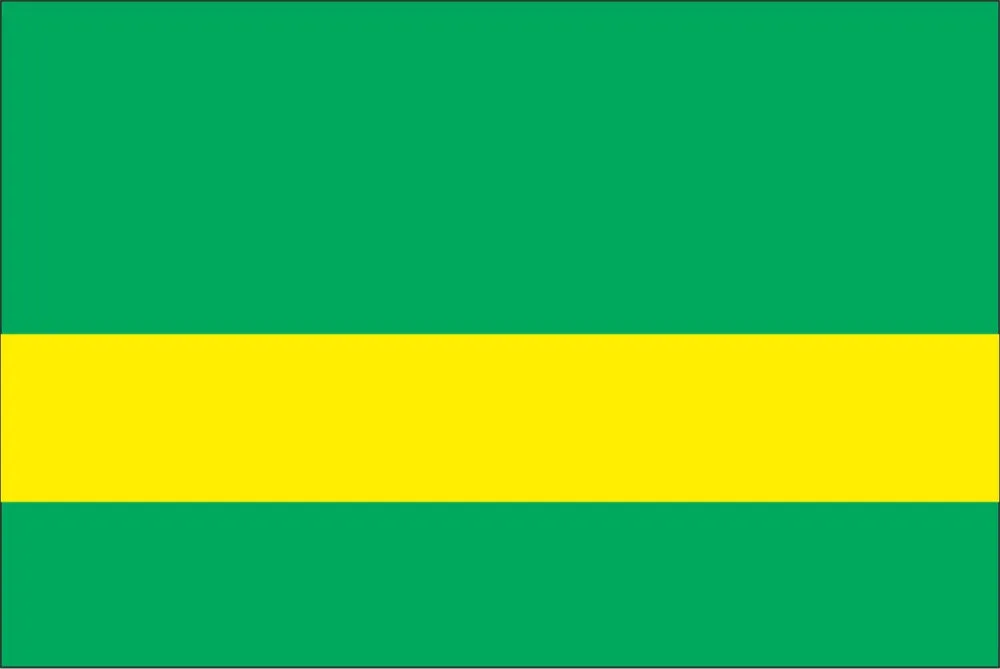 Lasermax Kelly Green/Yellow