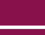 Varsity Claret/White